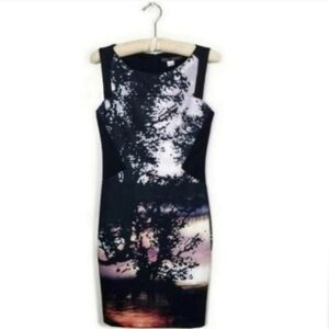 Nicole Benisti Photographic Sunset Print Scuba Sheath Dress 6